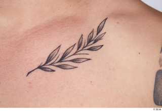 Gilbert chest tattoo 0002.jpg